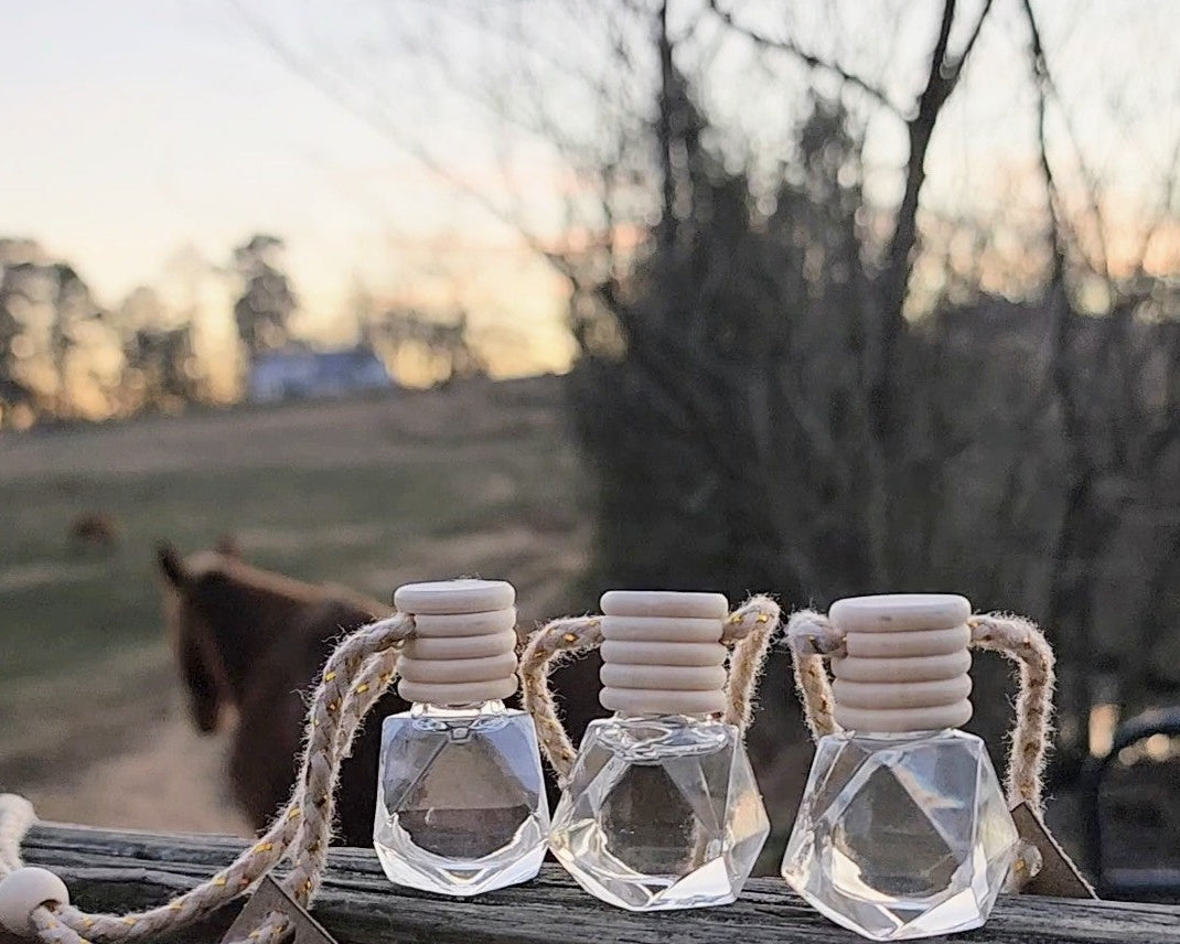 Hanging Car Diffuser | Long-Lasting Clean Scents