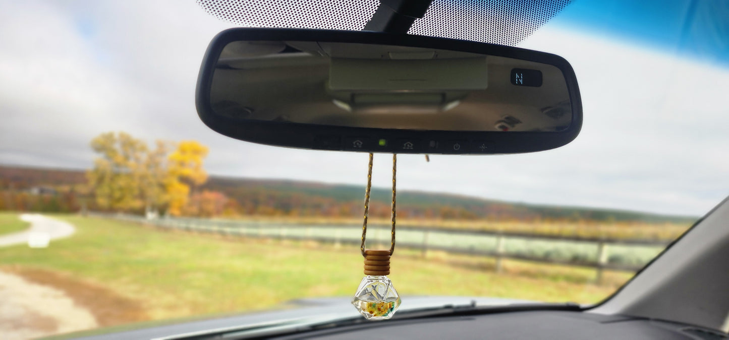 🌸Pink Sugar – Car Diffuser